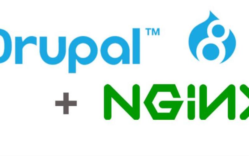 Nginx config for Drupal 8